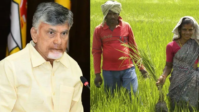 Andhra Pradesh :  అమెరికా టారిఫ్ తగ్గింపు..ఏపీ రైతులకు గుడ్ న్యూస్!