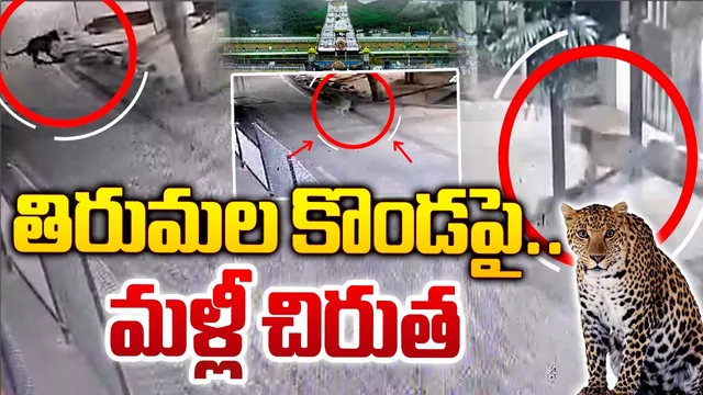 TTD: శ్రీవారిమెట్టు దగ్గర చిరుత సంచారం.. భక్తుల్లో టెన్షన్