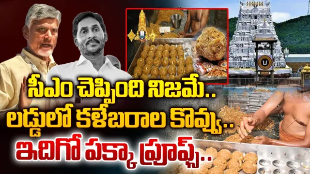 AP: తిరుమల లడ్డులో గొడ్డు కొవ్వు ఉంది: ఆనం వెంకటరమణా రెడ్డి