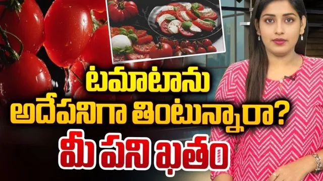 Watch Video: టమాటాలు ఎక్కువగా ఏం అవుతుందో తెలుసా ?