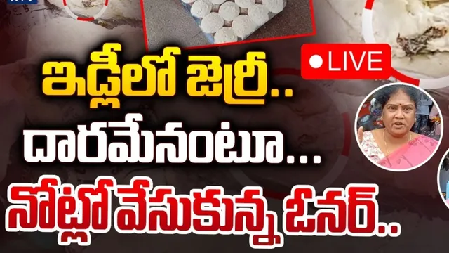 ఇడ్లీలో కనిపించిన జెర్రీ.. దారమని నోట్లో వేసుకున్న ఓనర్.. చివరికీ