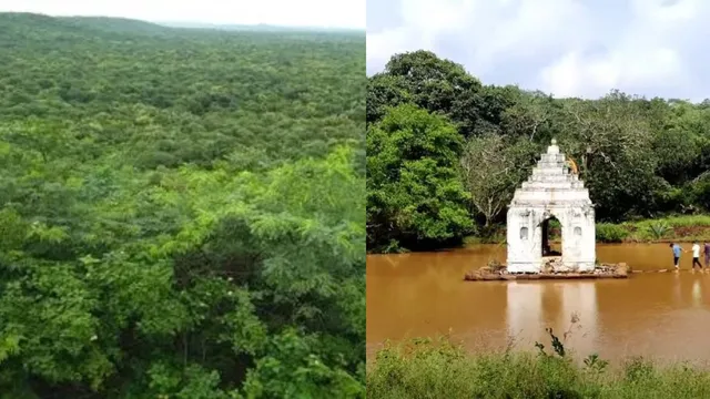 ప్రమాదంలో దామగుండం అడవి.. త్వరలో 12 లక్షల చెట్లు విధ్వంసం !