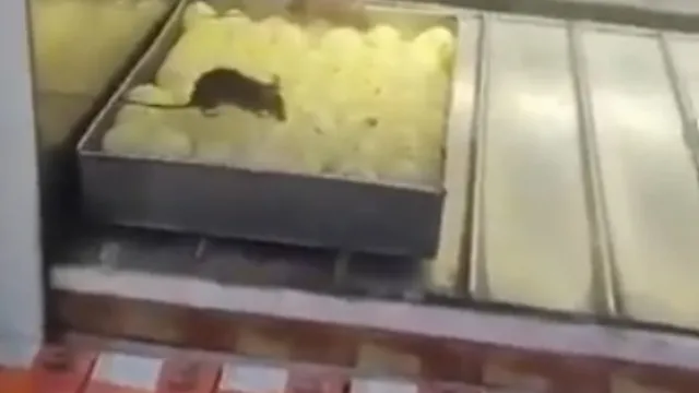 Delhi: నేను ఈదుతా..మీరు లొట్టలేసుకుంటూ తినండి