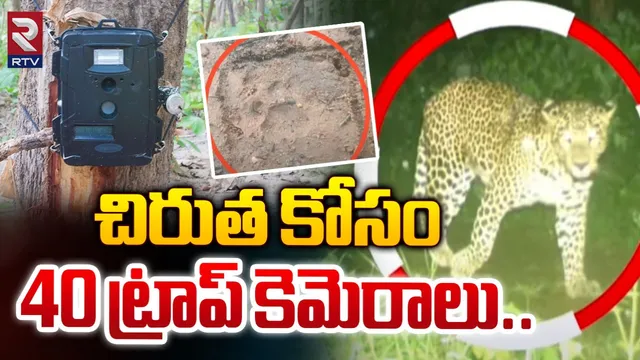 Cheetah : చిక్కని చిరుత.. రాజమండ్రిలో టెన్షన్.. టెన్షన్!