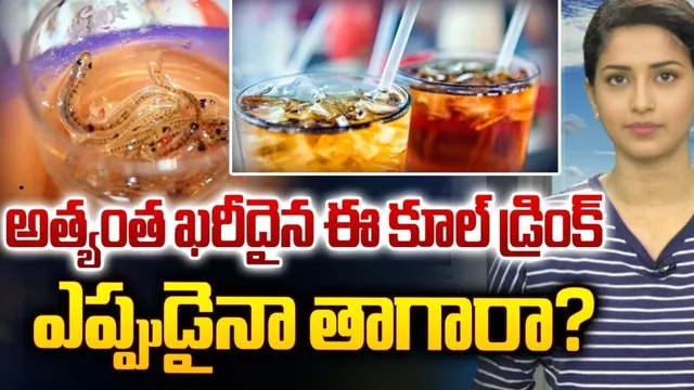 ప్రపంచంలోనే అత్యంత కాస్లీ డ్రింక్.. ఏంటో తెలుసా ?