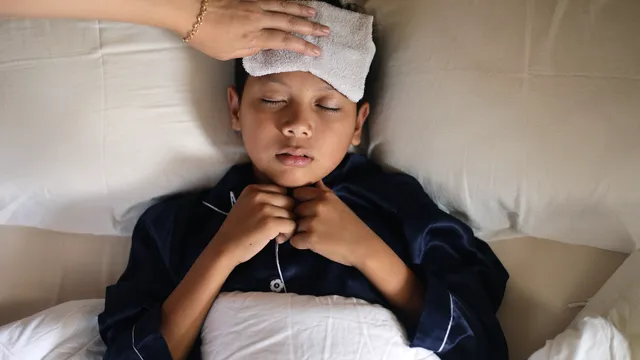 Dengue: బొప్పాయి ఆకులు నిజంగానే ప్లేట్లెట్స్ ను పెంచుతాయా? సైన్స్ ఏం చెబుతోంది?