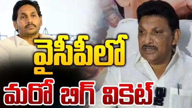 Grandhi Srinivas: జగన్‌కు షాక్.. టీడీపీలోకి మాజీ ఎమ్మెల్యే!