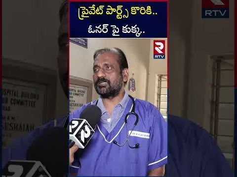 వెటర్నరీ డాక్టర్ చెప్పిన షాకింగ్ నిజాలు.! | Veterinary Doctor On Madhura Nagar Dog Incident | RTV
