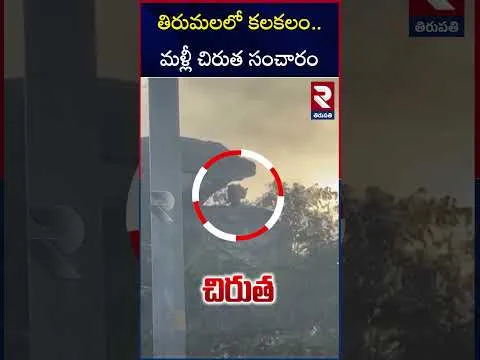 తిరుమలలో కలకలం..మళ్లీ చిరుత సంచారం | Leopard Spotted Again In Tirumala | RTV