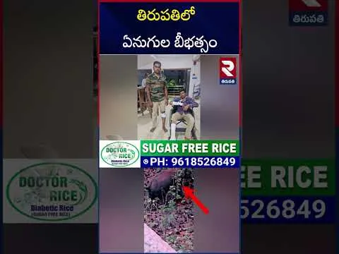 తిరుపతిలో ఏనుగుల బీభత్సం.. ఫారెస్ట్ అధికారులపై అటాక్ | Elephants Hulchul In Tirupati | RTV
