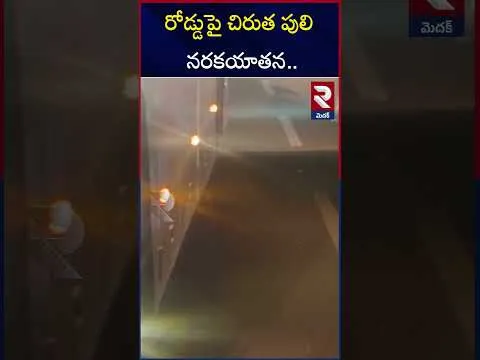 వాహనం ఢీకొని చిరుత మృ*తి |  Leopard On Medak Highway | RTV