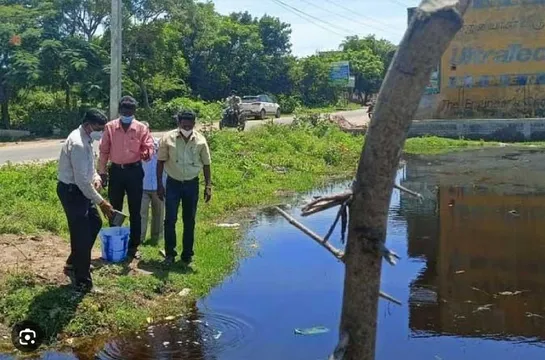 జ్వరాలకు చేపలతో చెక్..  ఏపీ ప్రభుత్వం సరికొత్త ప్రయోగం