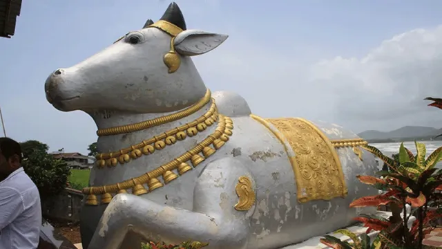 పాలు తాగుతున్న నంది విగ్రహం.. ఆశ్చర్యానికి లోనైన భక్తులు