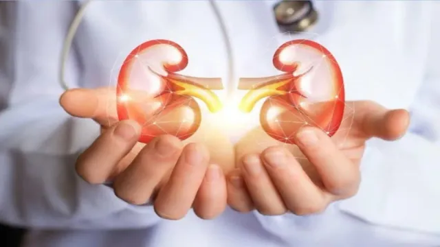Kidneys Health Food: కిడ్నీలు ఆరోగ్యంగా ఉండాలంటే ఈ ఫుడ్స్ సూపర్ గా పని చేస్తాయి!!