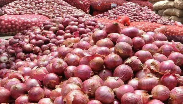 Onion: ఉల్లిపాయ తినడం మంచిదేనా? అధ్యయనాలు ఏం చెబుతున్నాయి?