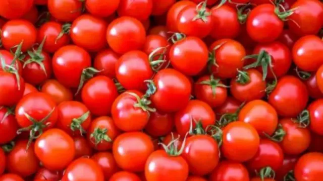 Tomato price: దిగొచ్చిన టమాటా ధరలు.. కిలో ఎంతంటే.?