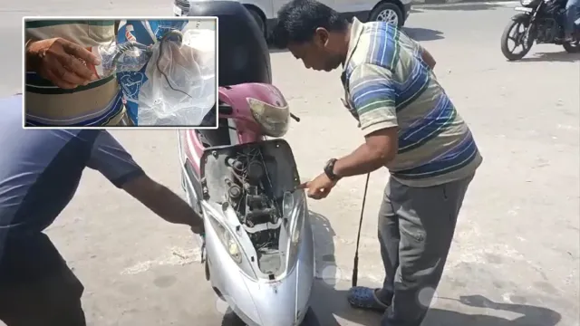 Viral: స్కూటీ హెడ్ లైట్ నుంచి వింత శబ్ధాలు.. ఏంటా ఓపెన్ చేయగ గుండె గుభేల్..