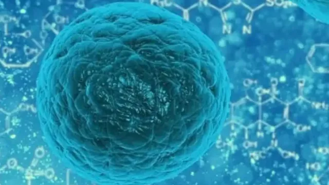 Disease X: ముంచుకొస్తోన్న మరో డేంజర్ వైరస్.. ఈసారి కరోనాను మించి..