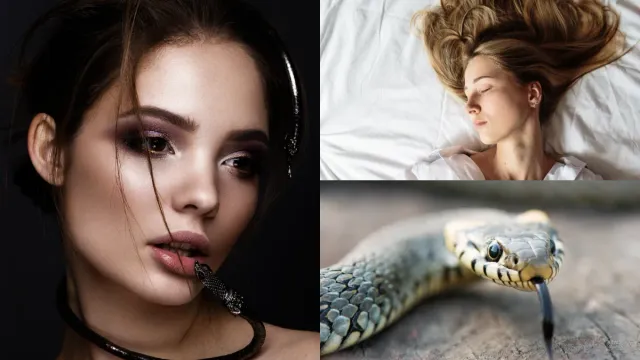Snake Bite Dream: కలలో పాములు పదేపదే కనిపిస్తున్నాయా? అసలు కారణం ఇదే..!