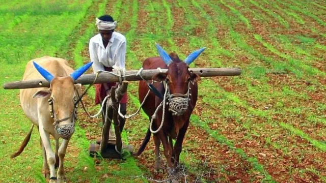 Fertilisers Subsidy: రైతులకు మోదీ సర్కార్ అదిరిపోయే శుభవార్త.. ఎరువులపై సబ్సిడీ..