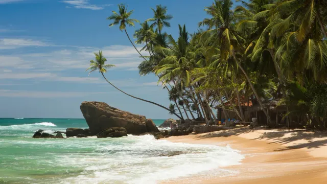 Srilanka: టూరిస్టులకు గుడ్ న్యూస్.. ఇక నుంచి శ్రీలంకకు వెళ్లాలంటే వీసా అవసరం లేదు..