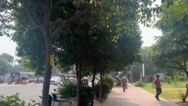 Visakhaptnam: గాలి వీస్తే చాలు హడలిపోతున్న విశాఖ వాసులు.. ఈ భయానికి ఆ చెట్టే కారణమట..!