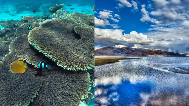 Coral Reef: సముద్ర మట్టానికి 18,000 అడుగుల ఎత్తులో పగడపు దిబ్బల శిలాజాలు.. ఎక్కడో తెలుసా?