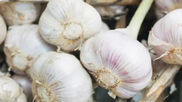 Garlic: ఈ సారి వెల్లుల్లి వంతు వచ్చింది..రోజురోజుకి!