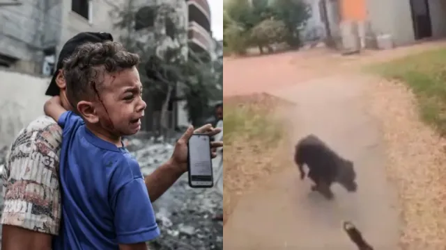 Israel vs Hamas: రక్తదాహం.. హమాస్‌ తీవ్రవాదుల పైశాచికత్వాన్ని కళ్లకు కట్టే వీడియో..!