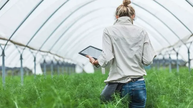 Free Training: యువతకు అద్భుత అవకాశం.. అగ్రి బిజినెస్‌లో ఉచిత శిక్షణ..