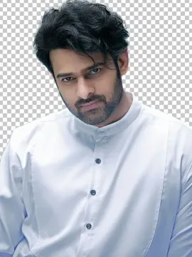 హీరో ప్రభాస్‌ డైట్‌ ఎలా ఉంటుంది..?