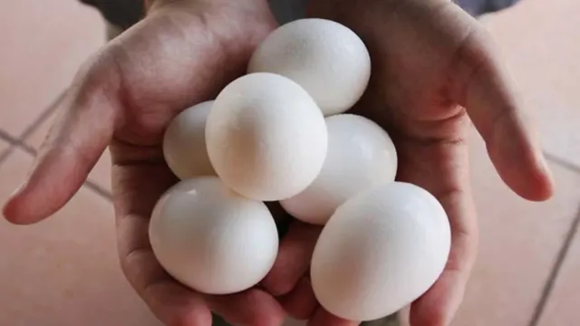 Egg: ఒక్క ఎగ్ రూ.32.. పాకిస్థాన్ లో దారుణ పరిస్థితులు!