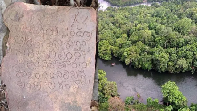 Telugu Inscriptions: నల్లమల అడవుల్లో 16వ శతాబ్దానికి చెందిన తెలుగు శాసనాలు.. పూర్తి వివరాలివే!