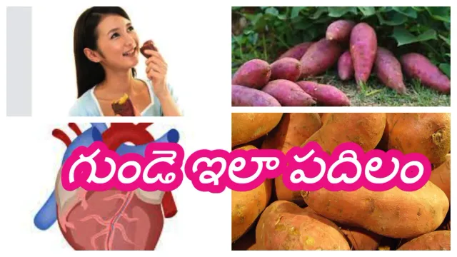 Healthy Heart :ఈ దుంపతో మీ గుండె పదిలం