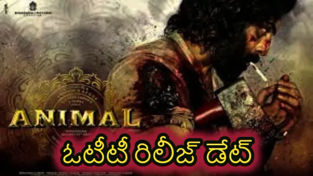 Animal OTT: యానిమల్ ఓటీటీలో స్ట్రీమింగ్ డేట్ ఫిక్స్?
