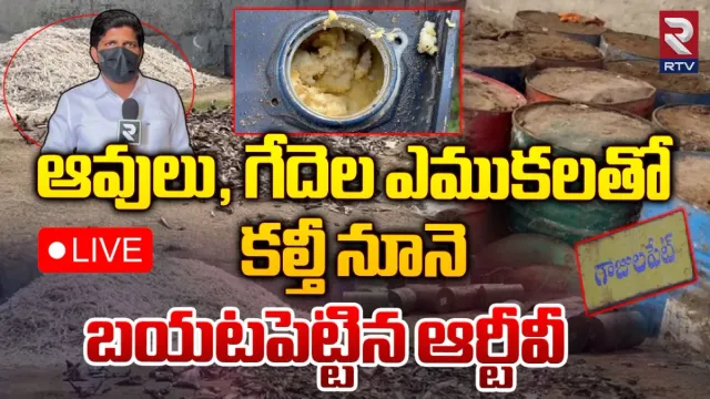 కళేబరాలతో కల్తీ నూనె... బయటపెట్టిన ఆర్టీవీ