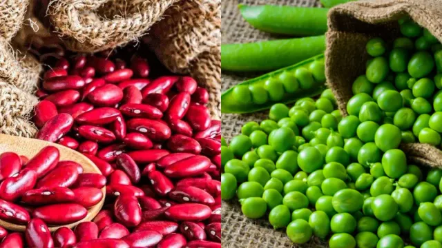 Health Tips: వీటిని అన్నంలో ఉడికించి తినండి.. గుండె ఎప్పుడూ ఆరోగ్యంగా ఉంటుంది!