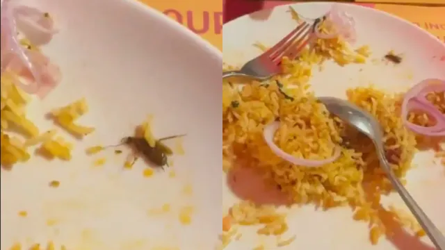 Viral Video:  పేరుకు టాప్ రెస్టారెంట్‌..  బిర్యానీలో ఏమో బొద్దింకలు.. వీడియో వైరల్!