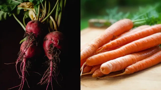 Immunity Tips : క్యారెట్లను ఇలా తీసుకుంటే రోగనిరోధక శక్తి రెట్టింపు.. ఇంకా ఎన్నో ప్రయోజనాలు