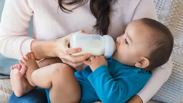 Bottle Feeding : బిడ్డకు డబ్బా పాలు పట్టిస్తున్నారా.. అయితే ఈ జాగ్రత్తలు పాటించాల్సిందే!
