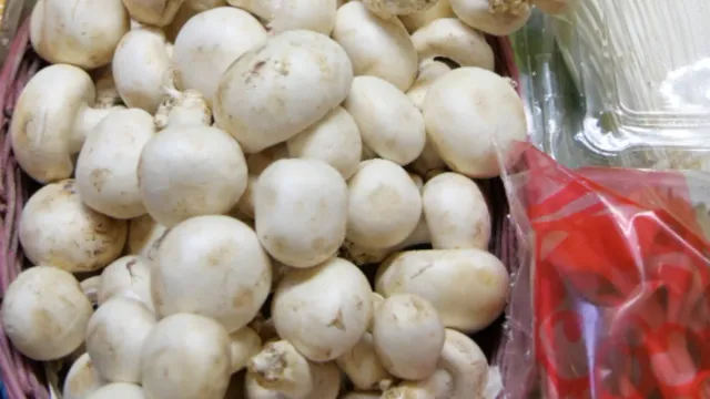  Health Tips: చిన్న పుట్టగొడుగులు...పెద్ద వ్యాధులకు గుడ్ బై చెబుతాయ్..చలికాలంలో రోజూ తింటే ఎన్ని లాభాలో..!!