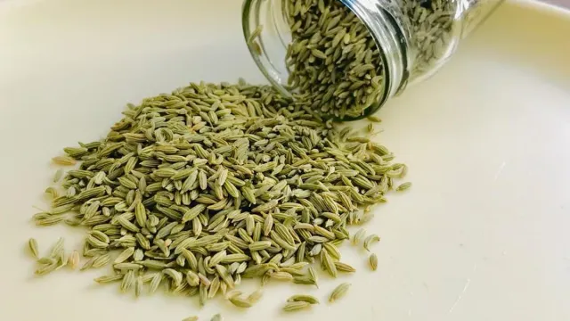 Health Tips : సోంపు వల్ల కలిగే లాభాలు.. తెలిస్తే అస్సలు వదలరు