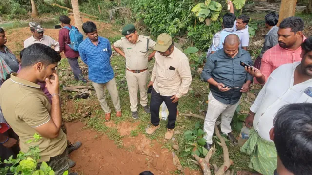 West Godavari : నాలుగు రోజులుగా జిల్లాలో పులి సంచారం.. వణికిపోతున్న జనం!
