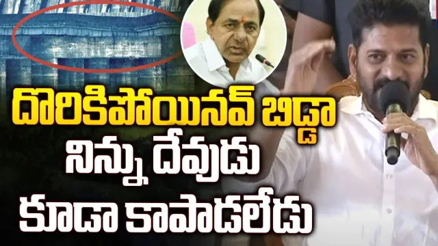 CM Revanth: కేసీఆర్‌ పచ్చి అబద్ధం చెప్పారు: రేవంత్‌ రెడ్డి