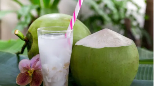 Coconut : శరీరానికి కొబ్బరి నీళ్లు మాత్రమే కాదు.. లేత కొబ్బరి కూడా మేలే!