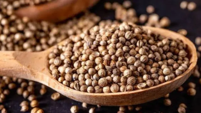 Health Tips: ధనియాలతో శరీరంలోని చెడు కొలెస్ట్రాల్‌ కు చెక్‌ పెట్టేద్దామా!