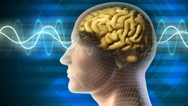 Health Tips : మెదడుకు విరామం ఇస్తున్నారా.. లేకపోతే అంతే సంగతులు..