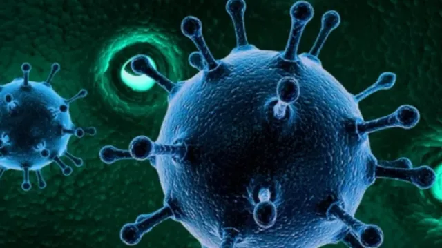NoroVirus: అమెరికాలో వేగంగా వ్యాప్తి చెందుతున్న నోరో వైరస్.. ఎంత ప్రమాదకరమైనది..దాని లక్షణాలేంటి!