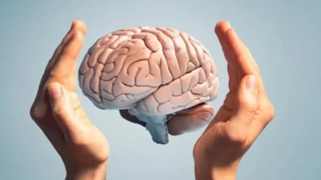 Human Brain : పెరుగుతున్న మనిషి మెదడు సైజు..  పరిశోధనలో కీలక విషయాలు వెల్లడి