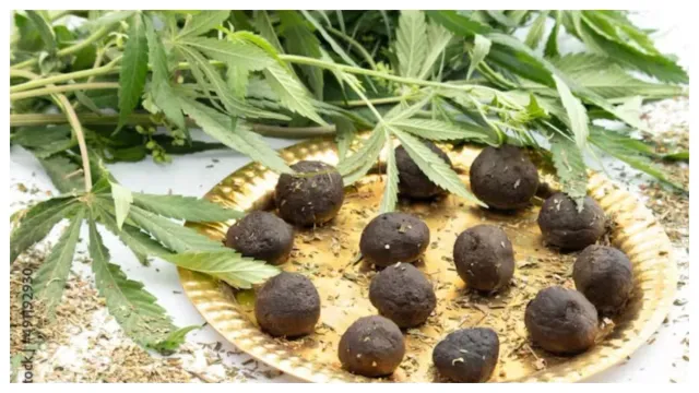 GANJA: గంజాయి వల్ల లభించే లాభాలు?
